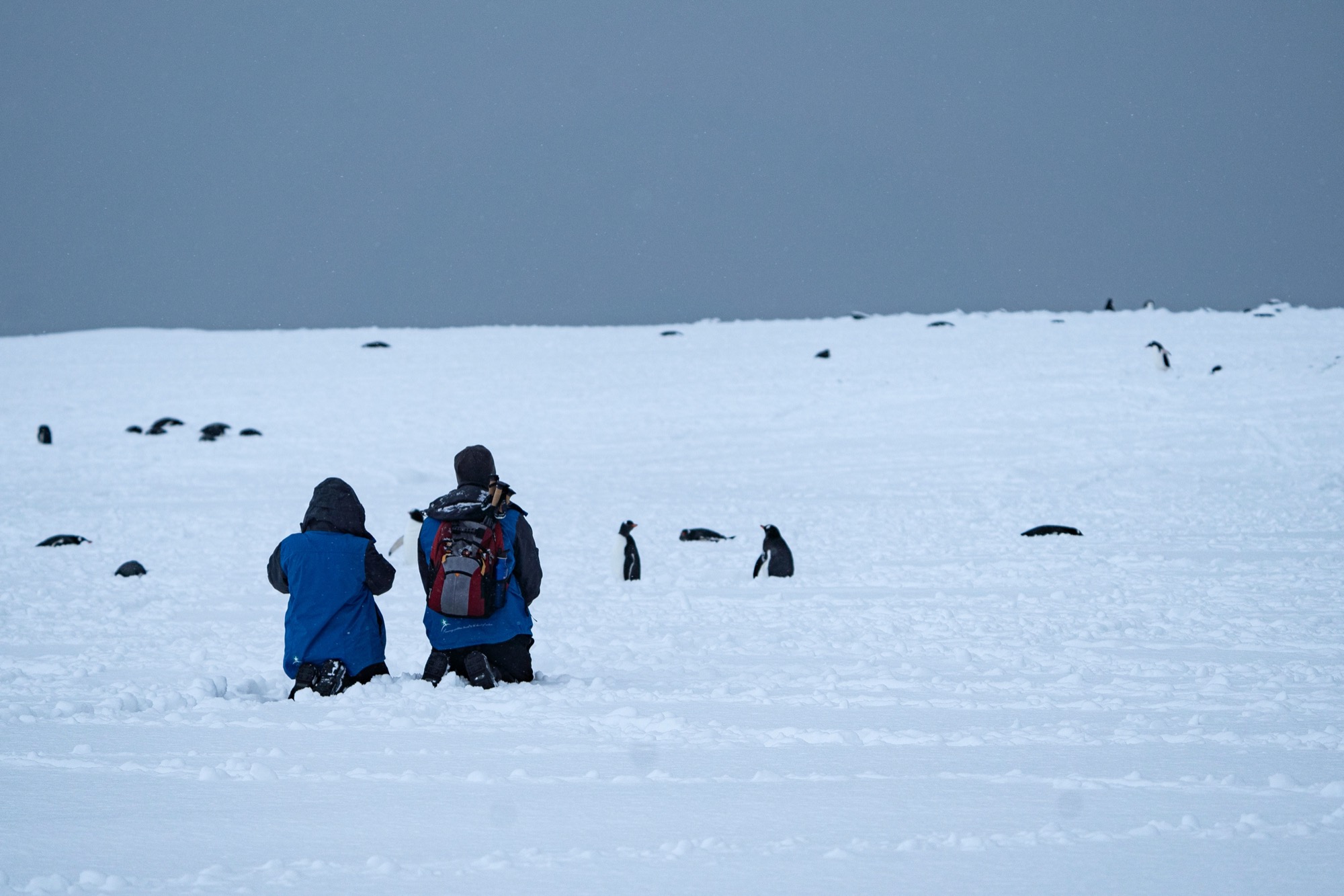 Aurora Expeditions Greg Mortimer Excursions 1.jpg